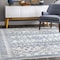 Nuloom Transitional Moroccan Frances Area Rug 3ft x 5ft LPCT09C-305 - alternate 1